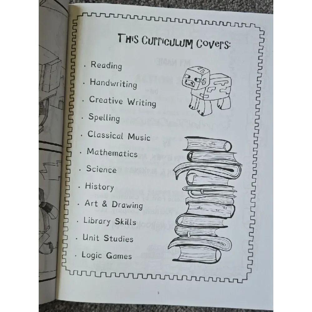 Minecraft 'All About Pets' Fun Schooling Journal - Orange & Gray
